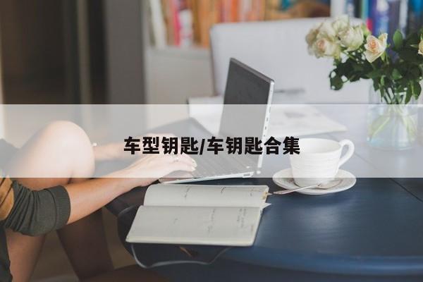 车型钥匙/车钥匙合集
