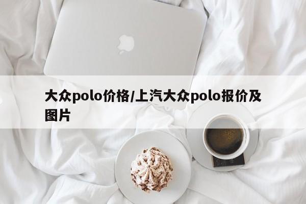 大众polo价格/上汽大众polo报价及图片