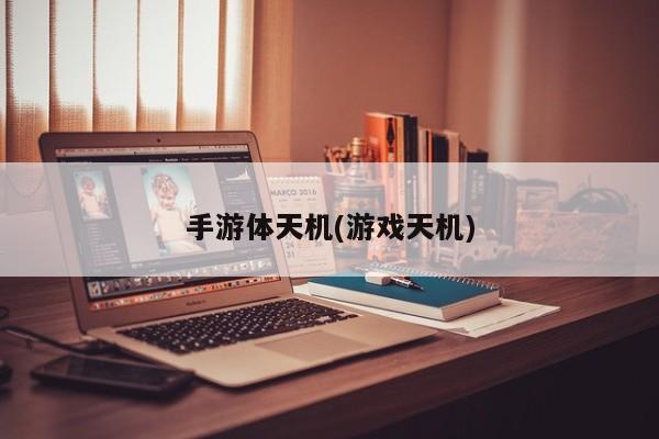 手游体天机(游戏天机)