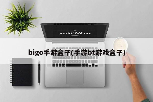 bigo手游盒子(手游bt游戏盒子)