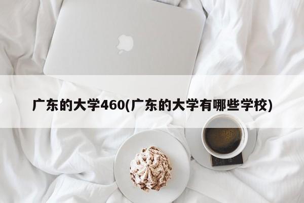 广东的大学460(广东的大学有哪些学校)