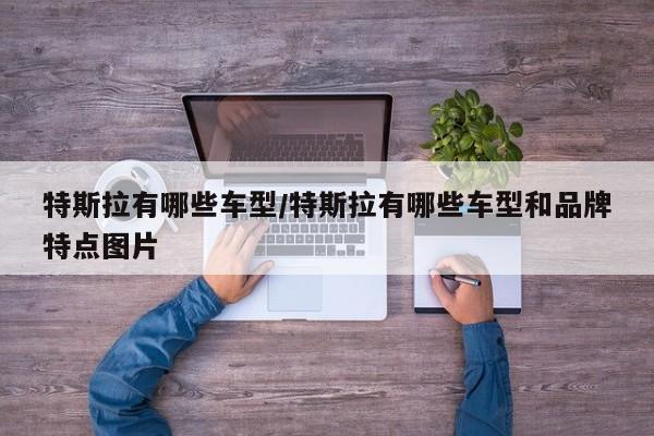 特斯拉有哪些车型/特斯拉有哪些车型和品牌特点图片